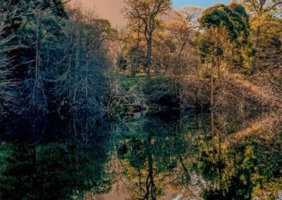 green trees beside river during daytime Cape Town - South Africa