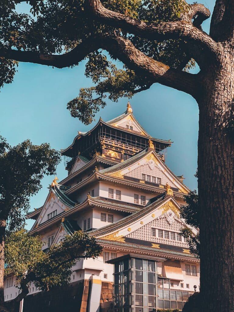 white and black Japanese Castle - Osaka - Japan