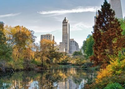 Central Park New York