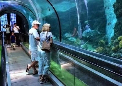Phuket Aquarium